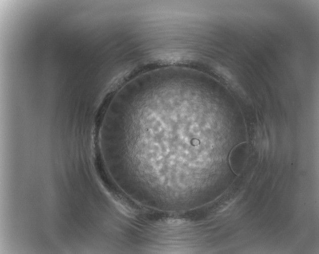 X0000067480590200604150018