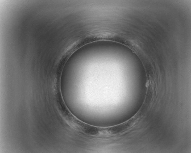 X0000067480591200604150018