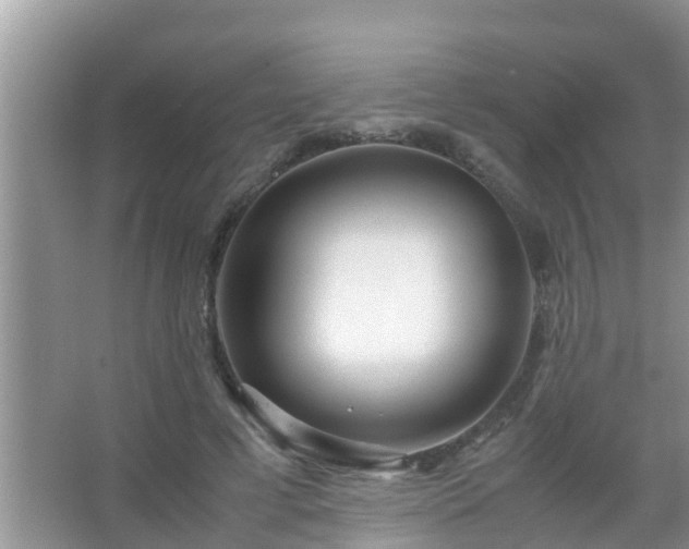 X0000067480593200604150018