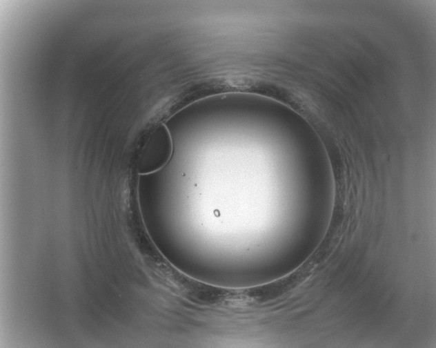 X0000067480595200604150018