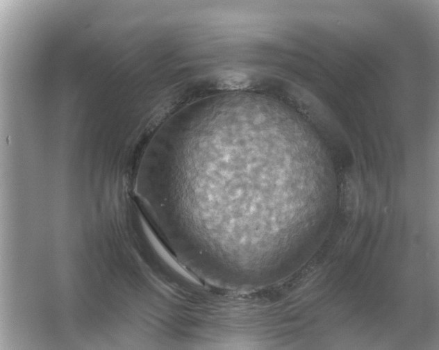 X0000067480598200604150018