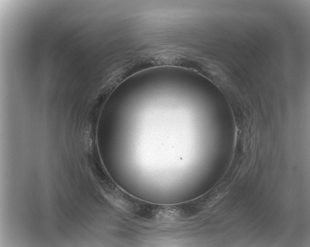 X0000067480599200604150018