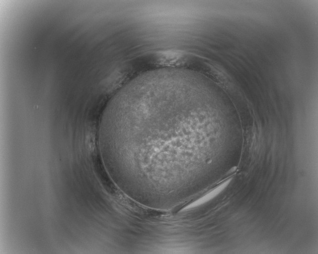 X0000067480602200604150018