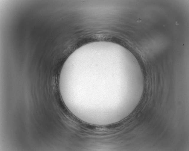 X0000067480605200604150018