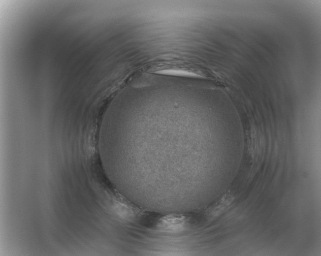 X0000067480606200604150018