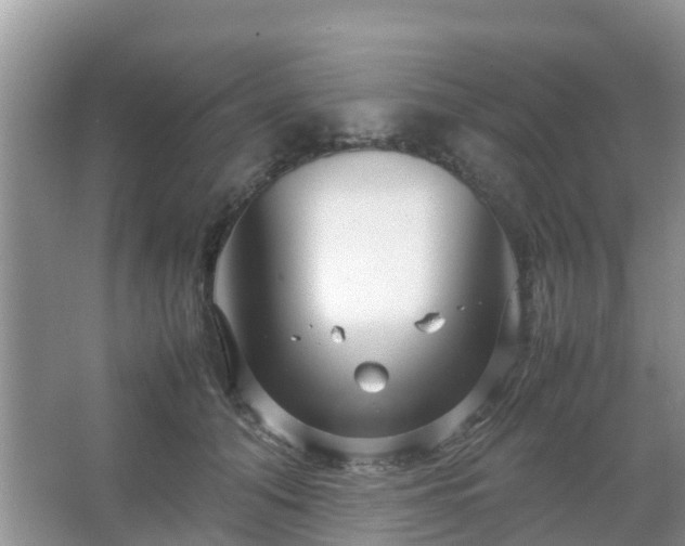 X0000067480608200604150018