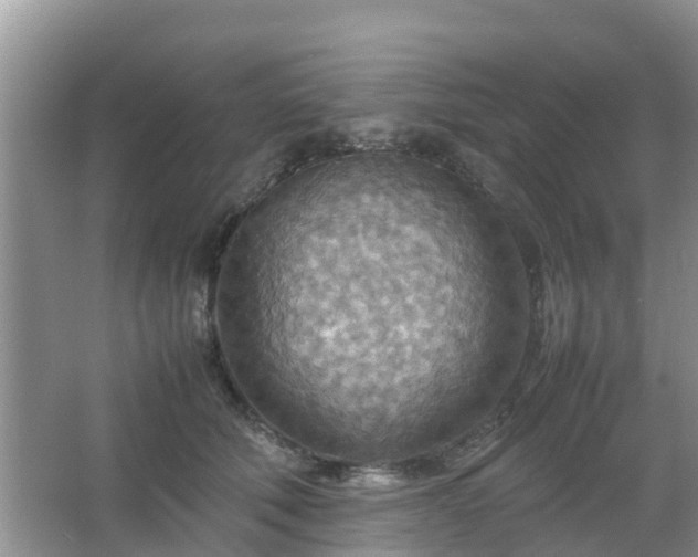 X0000067480610200604150018