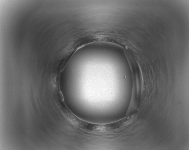 X0000067480611200604150018