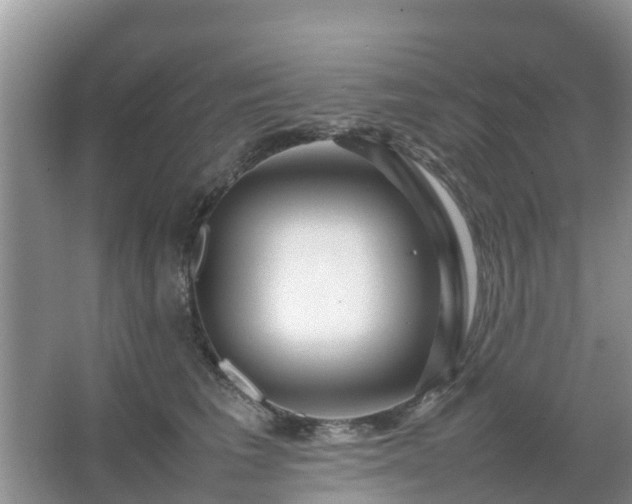 X0000067480613200604150018