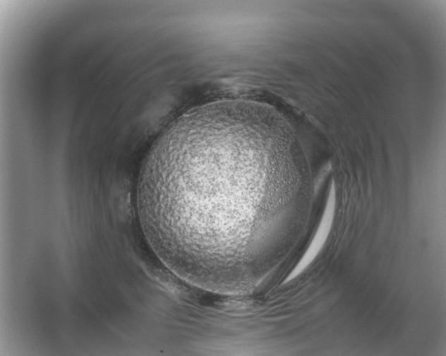 X0000067480615200604150018