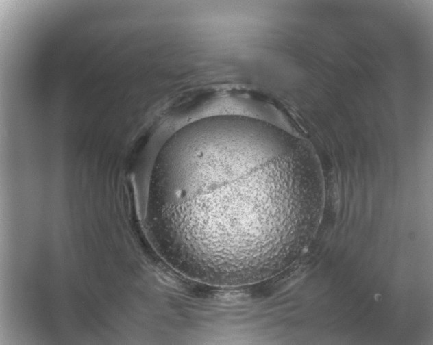 X0000067480619200604150018