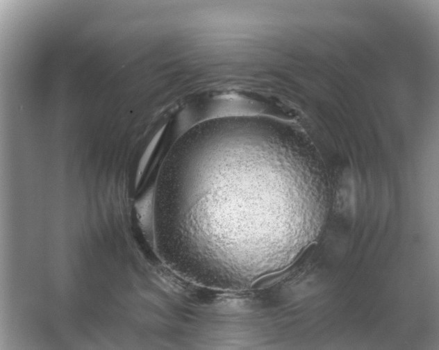 X0000067480620200604150018