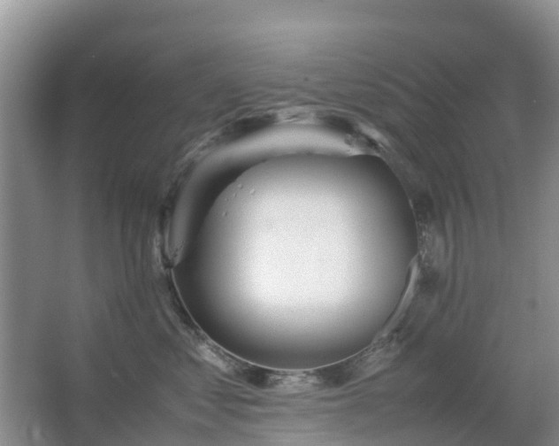 X0000067480621200604150018