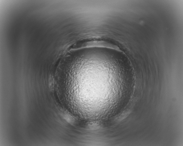 X0000067480624200604150017