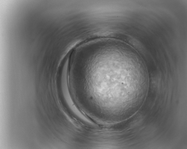 X0000067480626200604150017