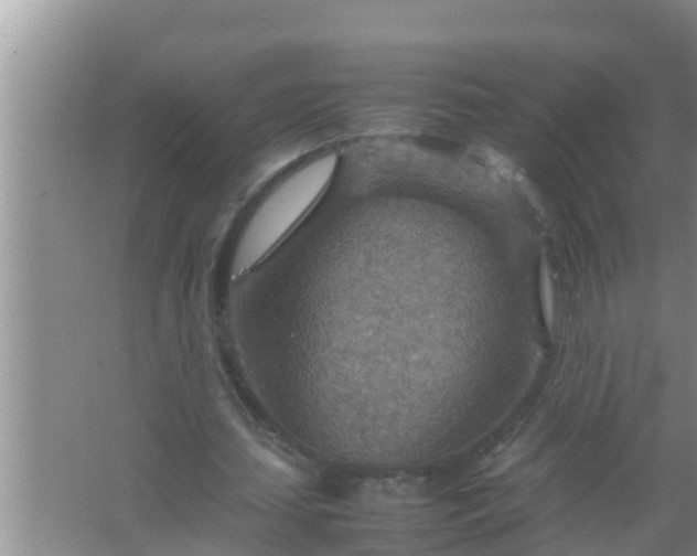 X0000067480627200604150017