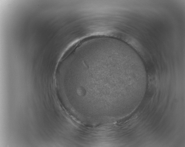 X0000067480628200604150017