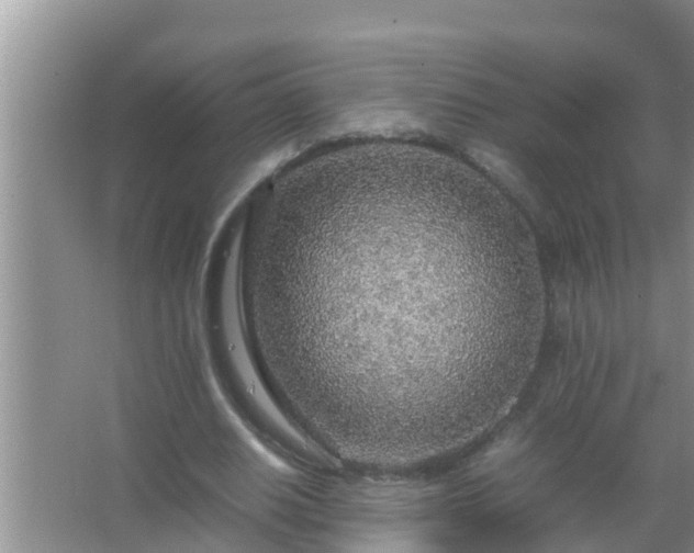 X0000067480630200604150017