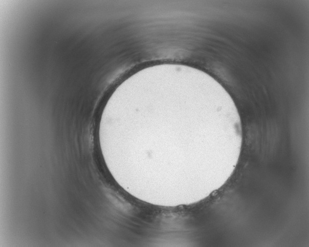 X0000067480632200604150017