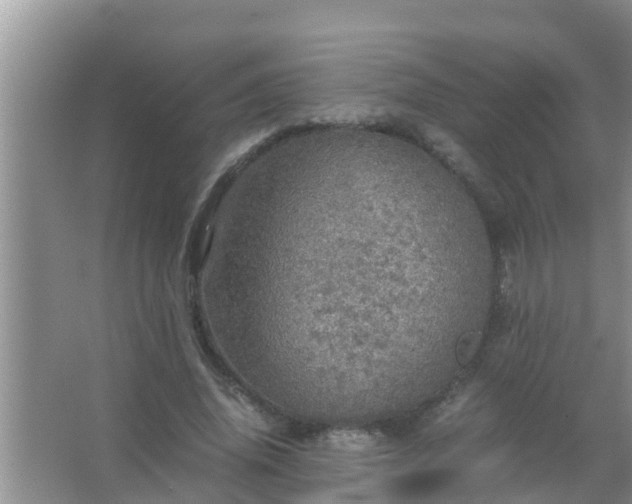 X0000067480636200604150017