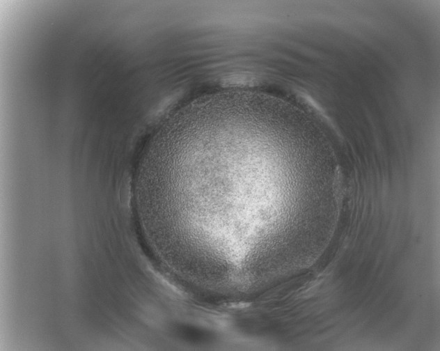 X0000067480637200604150017