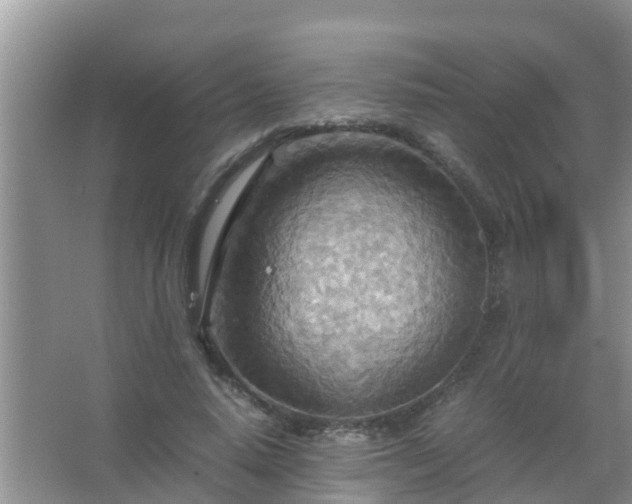 X0000067480640200604150017