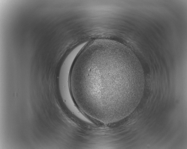 X0000067480642200604150017