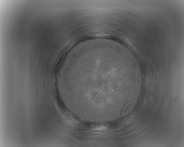 X0000067480643200604150017