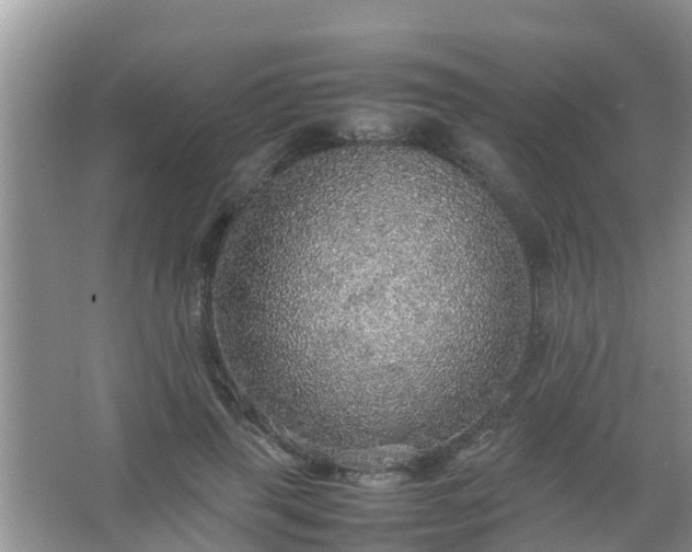 X0000067480645200604150017