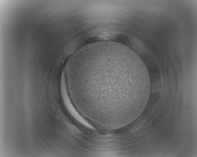 X0000067480646200604150017