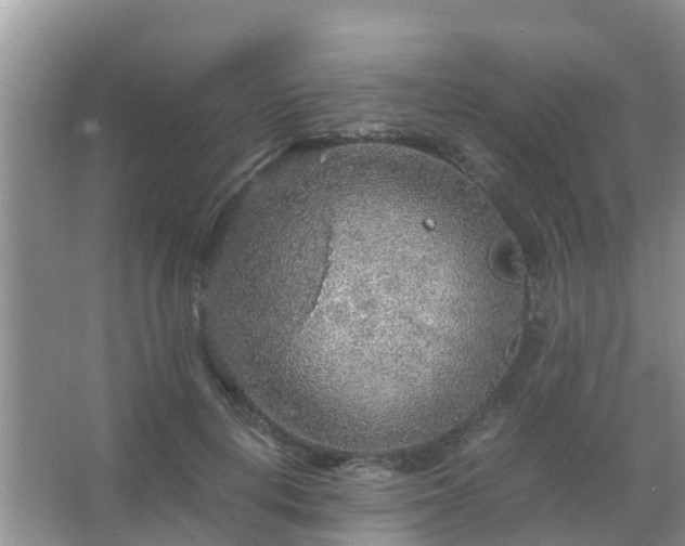 X0000067480648200604150017