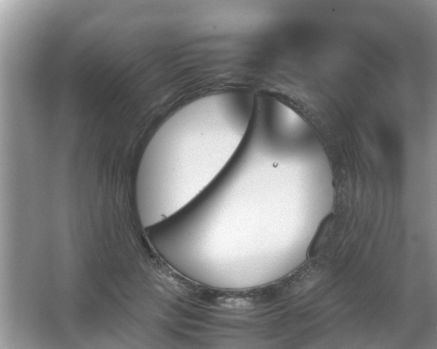 X0000067480649200604150017