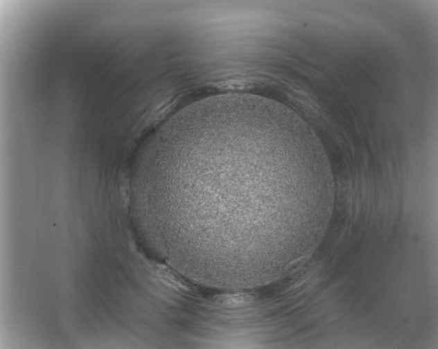 X0000067480652200604150017