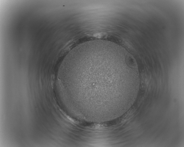 X0000067480656200604150017