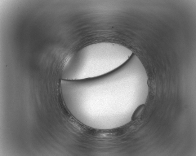 X0000067480657200604150017