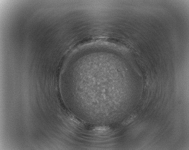 X0000067480659200604150017