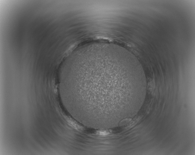 X0000067480662200604150017