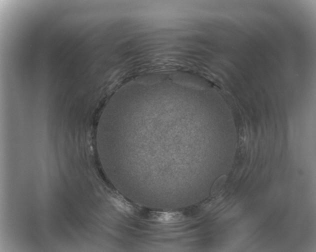 X0000067480663200604150017