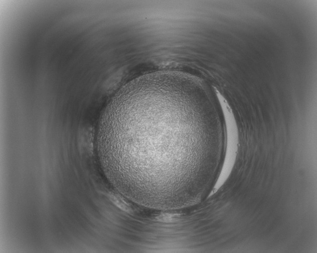 X0000067480664200604150017