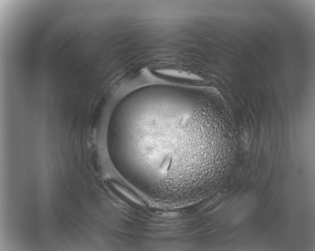 X0000067480665200604150017