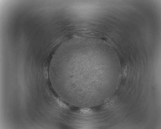 X0000067480666200604150017