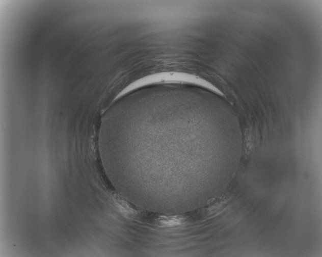 X0000067480667200604150017