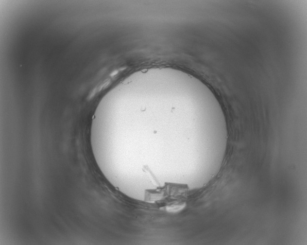 X0000067480672200604150017