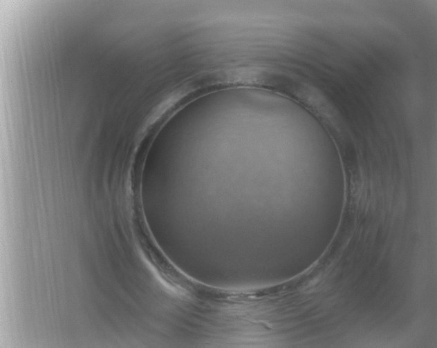 X0000067480674200604150017