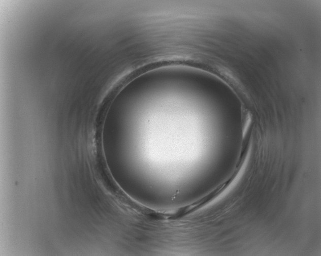 X0000067480676200604150017