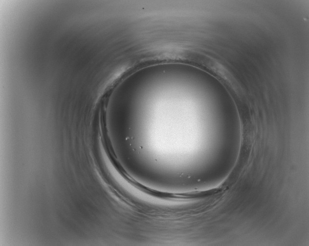 X0000067480677200604150017