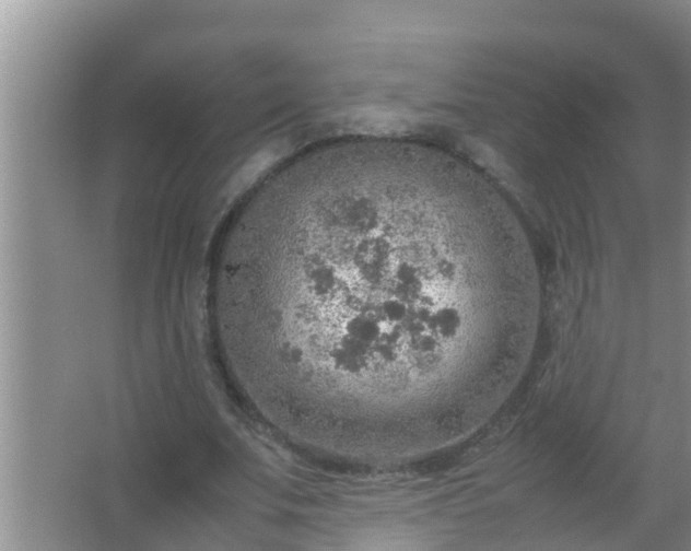 X0000067480679200604150017