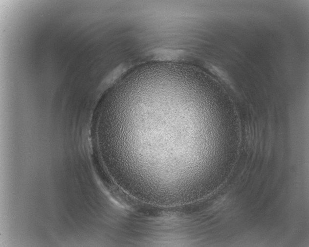 X0000067480682200604150017