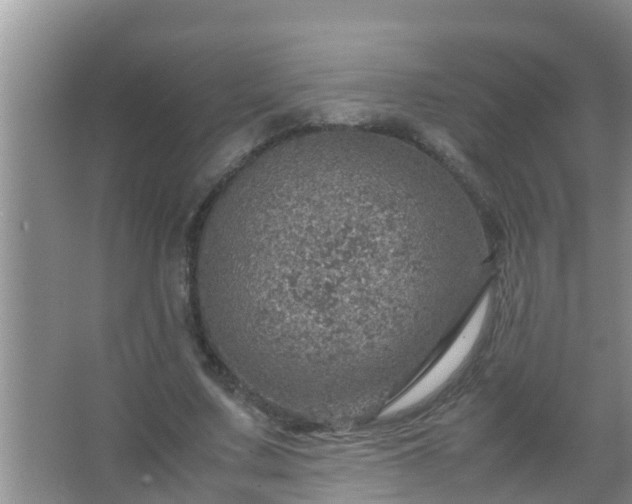 X0000067480683200604150017