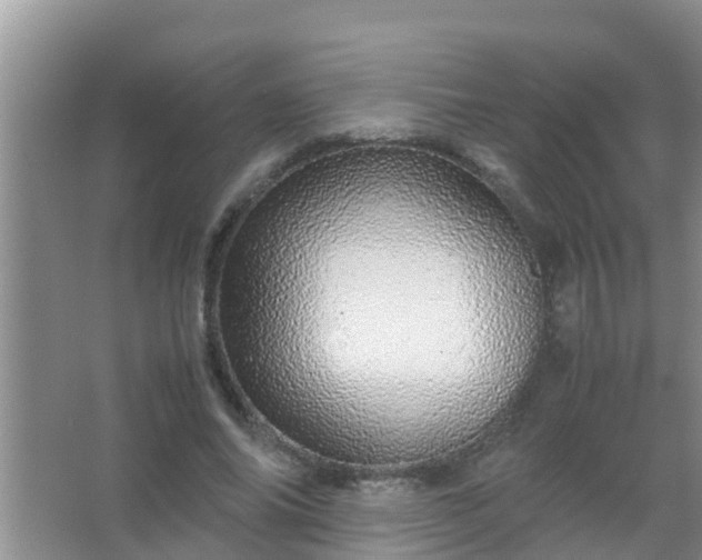 X0000067480686200604150016